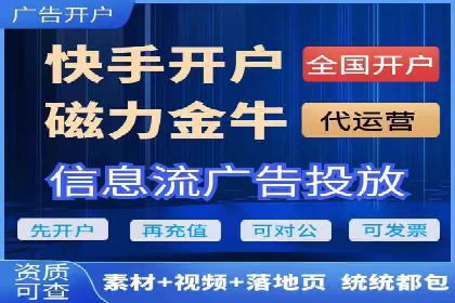 落地页在SEM优化中的重要性及成功案例